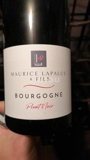 Borgonha Maurice Lapalus & Fils Pinot Noir 2022