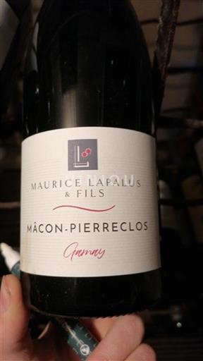 Borgonha Mâcon e mâcon-villages Maurice Lapalus & Fils Gamay 2022