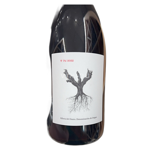 Castiglia e León Ribera del Duero Dominio De Pingus PSI 2022