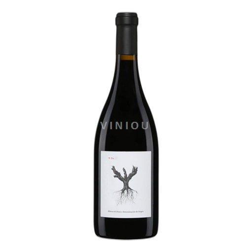 Castille et León Ribera del Duero Dominio De Pingus PSI 2022