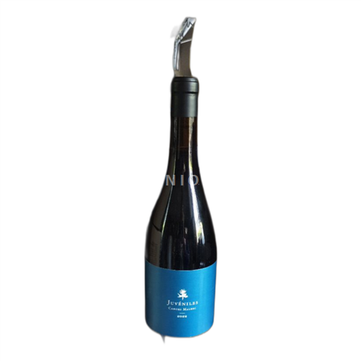 Sudoeste Cahors Juvéniles 2022