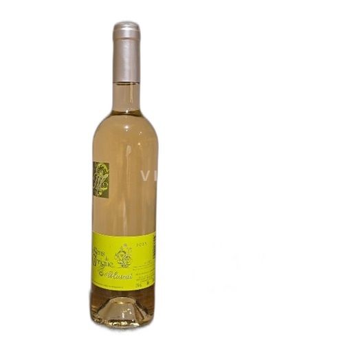 Languedoc ja Roussillon Aude La Cave De Gruissan 2023