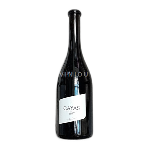 Wallis Nicht spezifiziert Jeanrené Germanier Cayas Syrah du Valais Réserve 2011