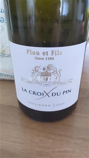 Loirevallei Niet gespecificeerd Plou Et Fils La Croix du Pin 2024