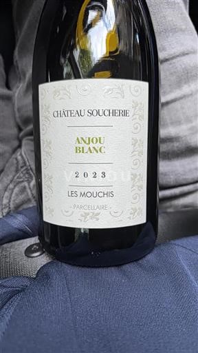 Vallée de la Loire Anjou Château Soucherie Les Mouchis 2023