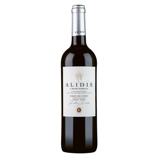 Castilien og León Ribera del Duero Bodegas Viña Mambrilla Alidis Tinto 2021