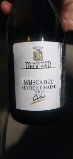 Loire Valley Muscadet Sèvre et Maine Vignoble Drouard Chêne Non-Vintage