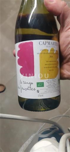 Sudoeste Côtes de Gascogne Domaine Capmartin Le tango des fauvettes 2022
