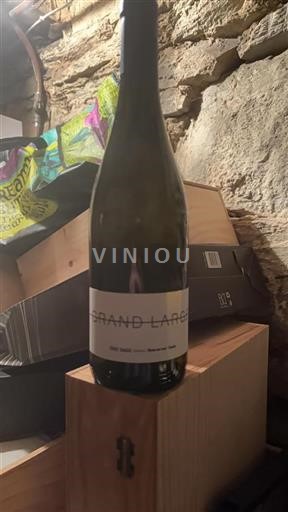 Sudoeste Côtes de Gascogne Grand Laric Sin añada