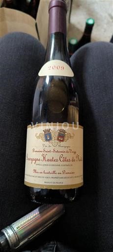 Burgundija Hautes Côtes de Nuits Domaine Saint Saturnin De Vergy 2009