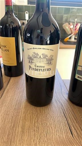 Bordeaux Saint-Émilion Grand Cru Château Pindefleurs 2019