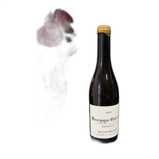 Borgogna Borgogna Côte d'Or Arnaud Baillot 2022