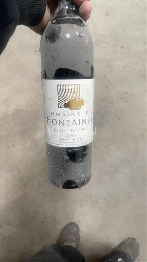 Languedoc og Roussillon Pays d'Oc Domaine Des Fontaines Léo-Paul 2009
