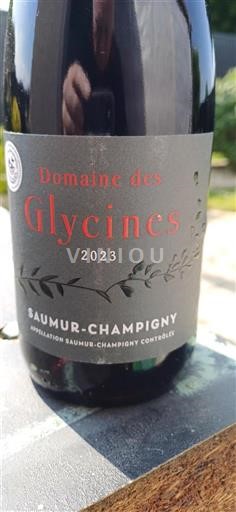 Valle del Loira Saumur-Champigny Domaine Des Glycines 2023