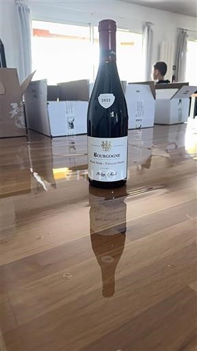 Vin Rouge sec Pinot Noir - Vieilles Vignes Château Philippe-Le-Hardi 2022 France Bourgogne AOC