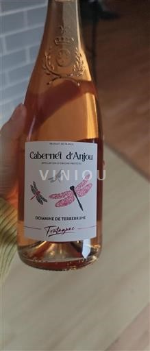 Valle della Loira Cabernet d'Anjou Domaine Terrebrune Fontagnac Senza annata