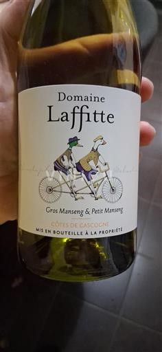 Vin Blanc sec Domaine Laffitte Non millésimé France Sud-Ouest Côtes de Gascogne IGP