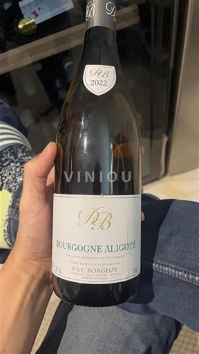 Burgundy Bourgogne Aligoté P&L Borgeot 2022