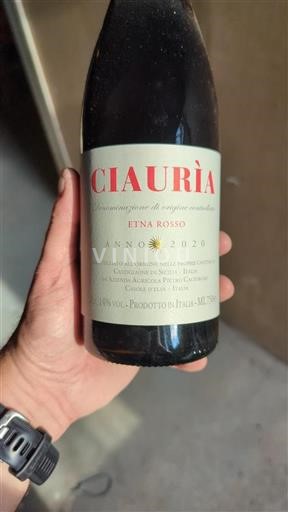 Sicily Not Specified Azienda Agricola Pietro Caciorgna Ciaurìa 2020