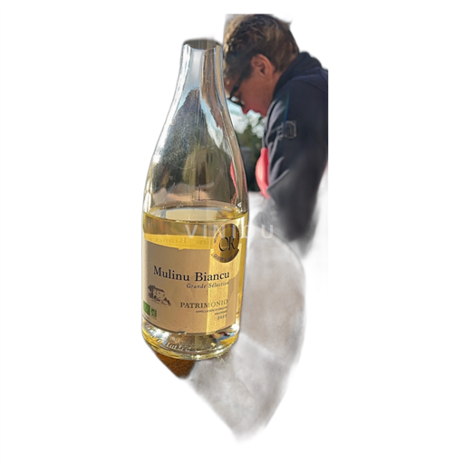 Vin Blanc sec Grande Sélection Mulinu Biancu 2023 France Corse Patrimonio AOC