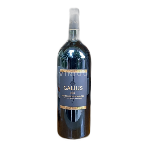 Bordeaux Saint-Émilion Grand Cru Union de Producteurs de Saint-Émilion Galius Senza annata
