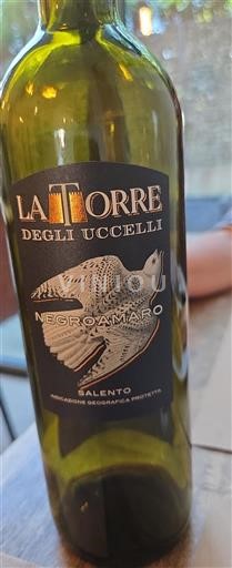 Apulia Alezio La Torre Degli Uccelli Ei vuosikertaa