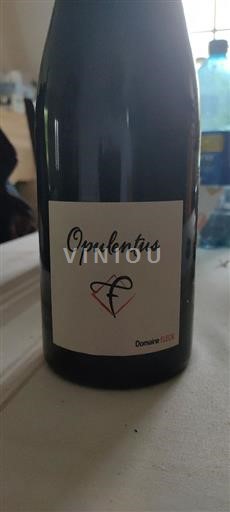 Alsace Ikke specificeret Fleck Opulentus 2022