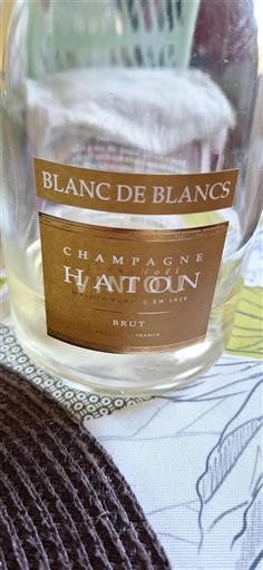 Champagne Champagner Haton Blanc de Blancs Ohne Jahrgang
