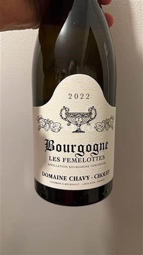 Burgundy Domaine Chavy-Chouet Les Femelottes 2022