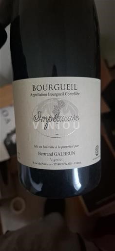 Loiredalen Bourgueil Bertrand Galbrun Impétueuse Icke årgångsbetecknad