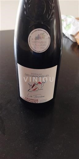 Valle del Loira Saumur-Champigny Domaine Des Damoiselles Les Toinières Sin añada