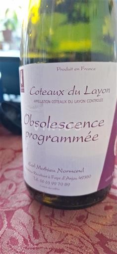 Vallée de la Loire Coteaux-du-layon Earl Mathieu Normand Obsolescence programmée Non Millésimé