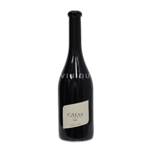 Vin Rouge sec Cayas Réserve Jean-René Germanier 2020 Suisse Valais AOC