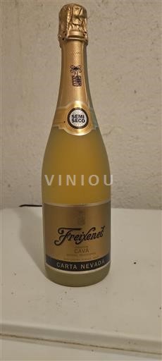 Catalogna Non specificato Freixenet Carta Nevada Senza annata