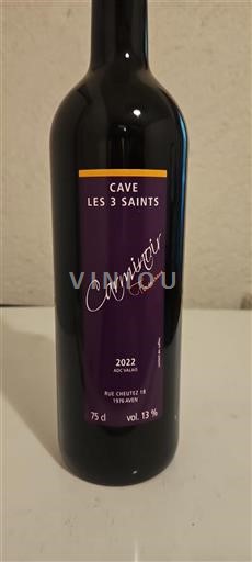 Valais Cave Les 3 Saints Carminoir 2022
