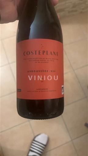 Languedoc Costeplane Arboussède 1850 2022