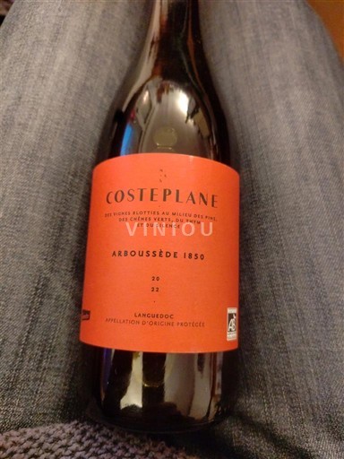 Languedoque Languedoc Costeplane Arboussède 1850 2022