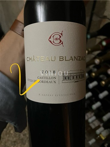 Bordéus Castillon-côtes-de-bordeaux Château Blanzac 2018