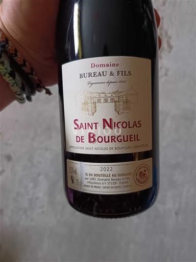 Vallée de la Loire Saint-Nicolas-De-Bourgueil Domaine Bureau & Fils 2022