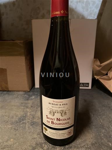 Valle del Loira Saint-Nicolas-De-Bourgueil Domaine Bureau & Fils 2022