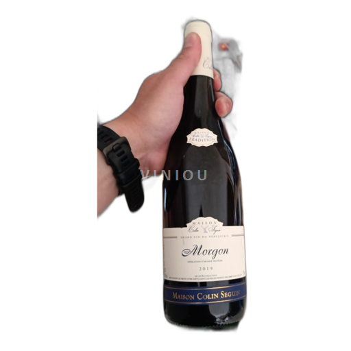 Beaujolais Morgon Maison Colin Seguin 2019
