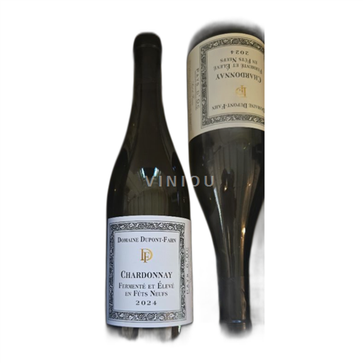 Vin Blanc sec Domaine Dupont-Fahn 2024 France Languedoc et Roussillon Pays d'oc IGP
