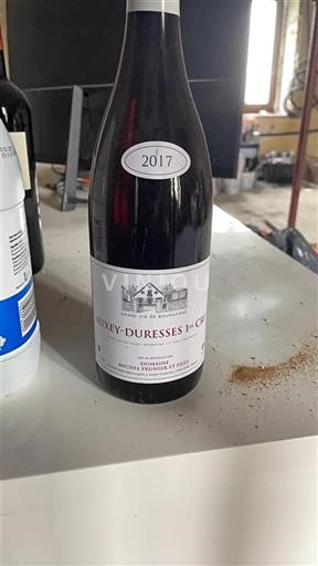 Bourgogne Ospecificerad Premier Cru Michel Prunier et Fille 2017