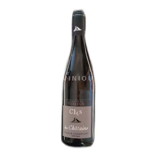 Valle della Loira Saumur-Champigny Domaine Nerleux Clos des Châtains 2022