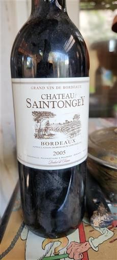 Burdeos Bordeaux Château Saintongey 2005