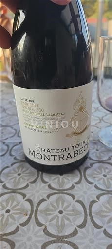 Linguadoca Non specificato Château Tour de Montrabech Parcelle N°203 & 250 2018