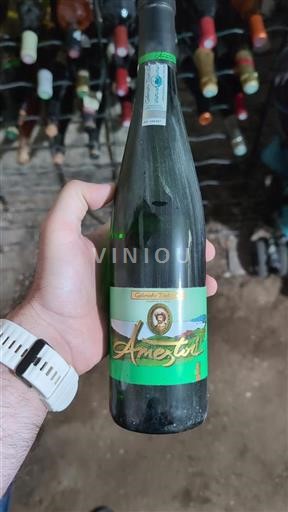 Xứ Basque Không được chỉ định Ametztoi 2020