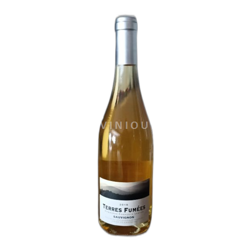 Vin Blanc sec Terres Fumées François Lurton 2019 France Sud-Ouest Côtes de Gascogne IGP