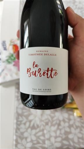 Dolina Loare Domaine Timothée Delalle La Burette 2023