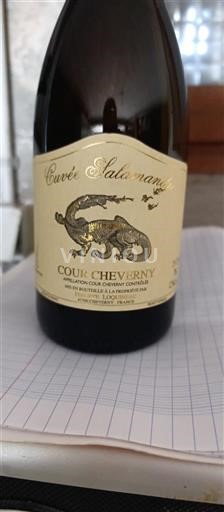 Loiretal Cour-cheverny Philippe Loquineau Salamandra 2020